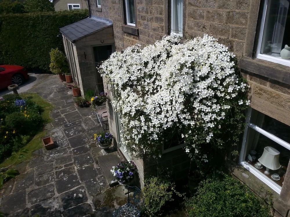 The Cottage