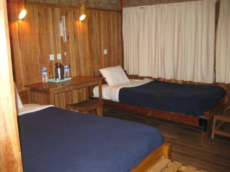 Pine Wood Villa