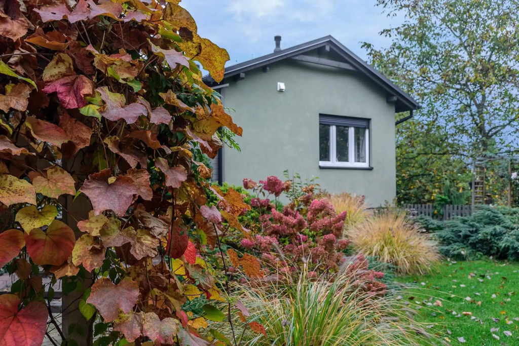 Green House - Two Bedroom Apartment