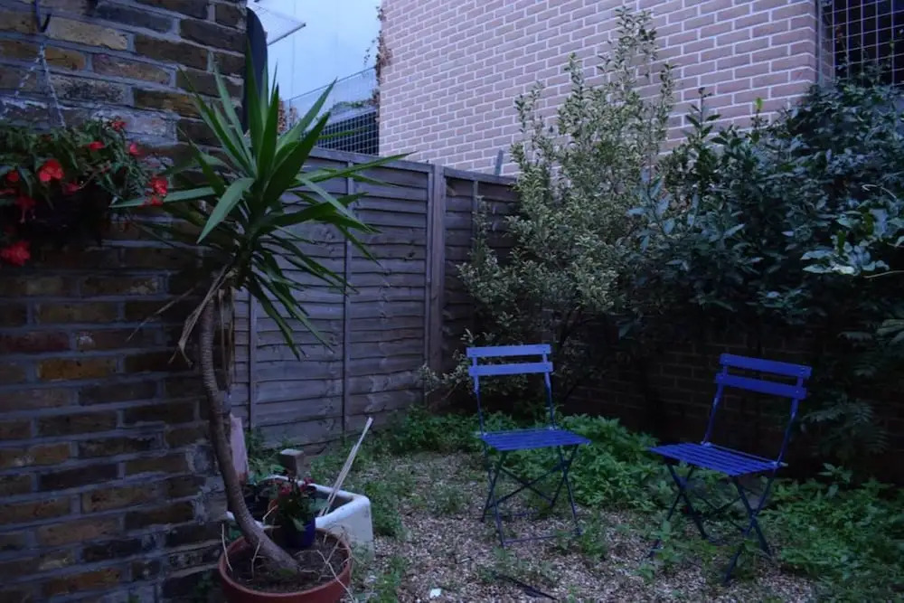 Cosy 1 Bedroom Flat in Hackney
