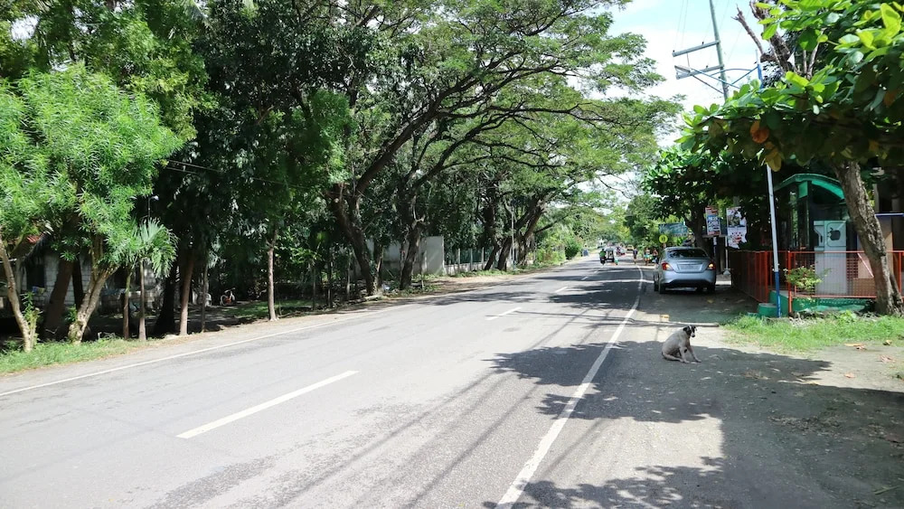 Guilly's Place