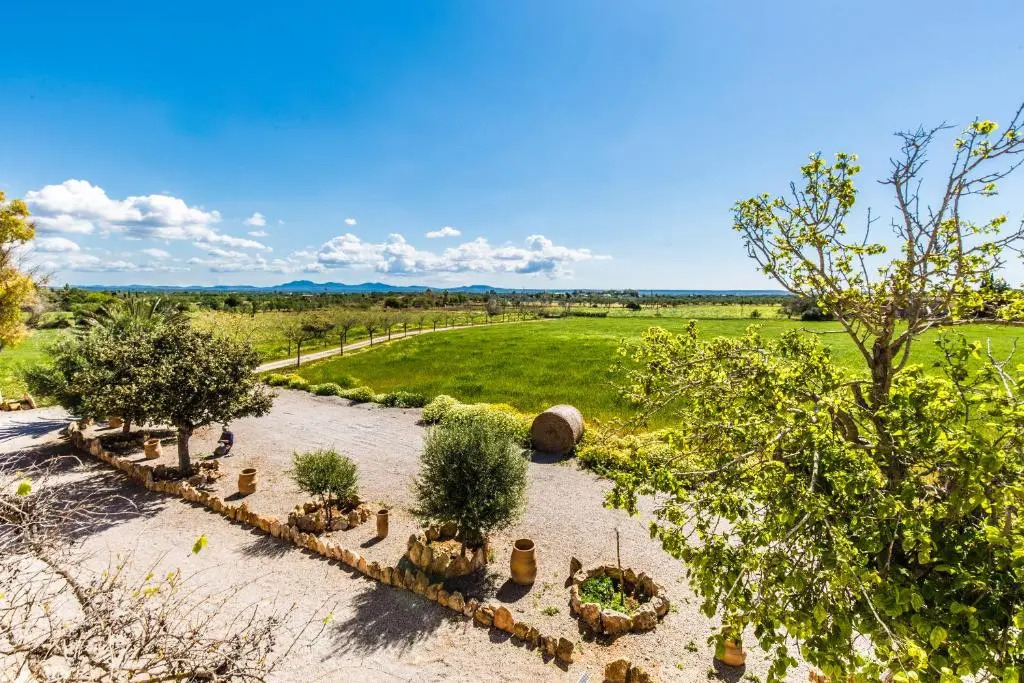 Finca Agroturismo Sa Cova den Borino