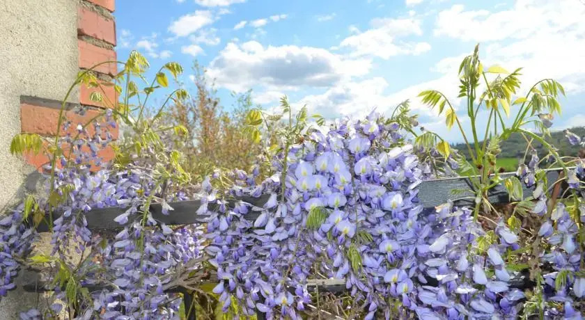 Wisteria Green House