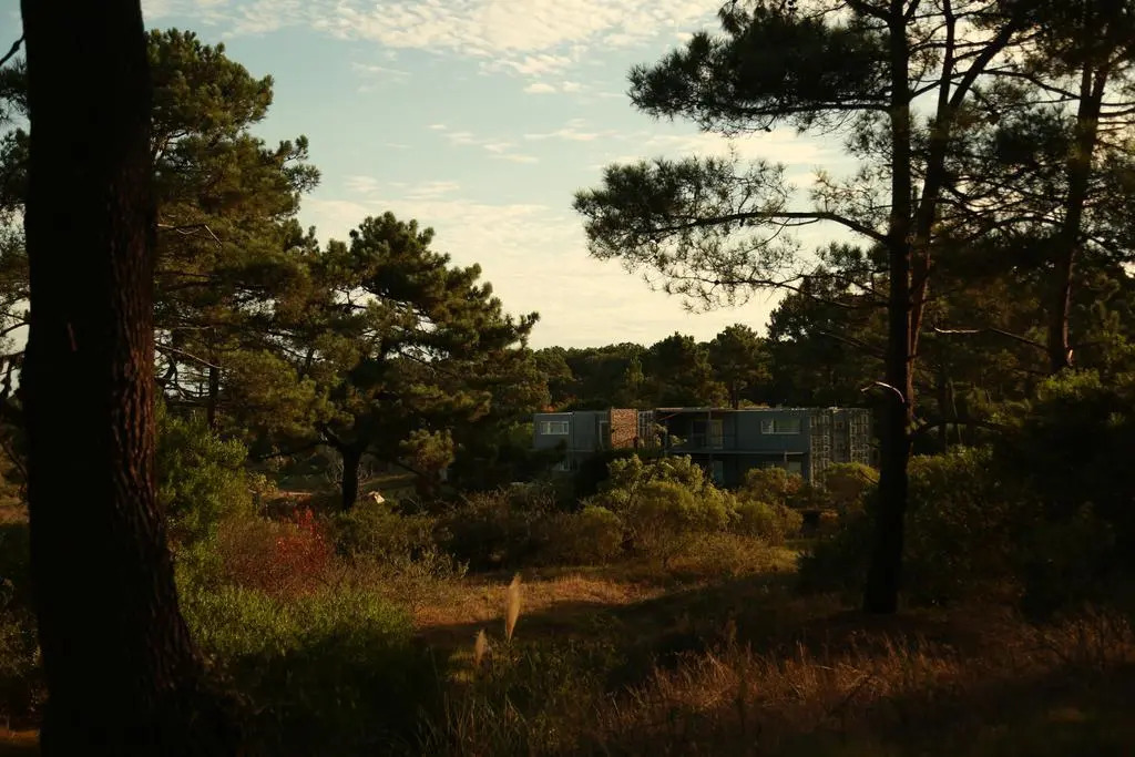 Entre Pinos Eco Box Apart