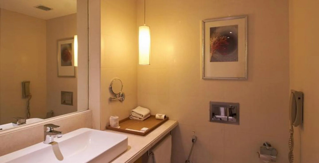 Hotel Platinum