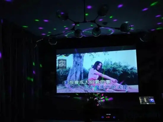 Diqu Manwu Homestay (Shanghai International Tourism Resort Branch)