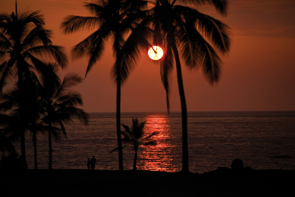 Kona Coast Resort