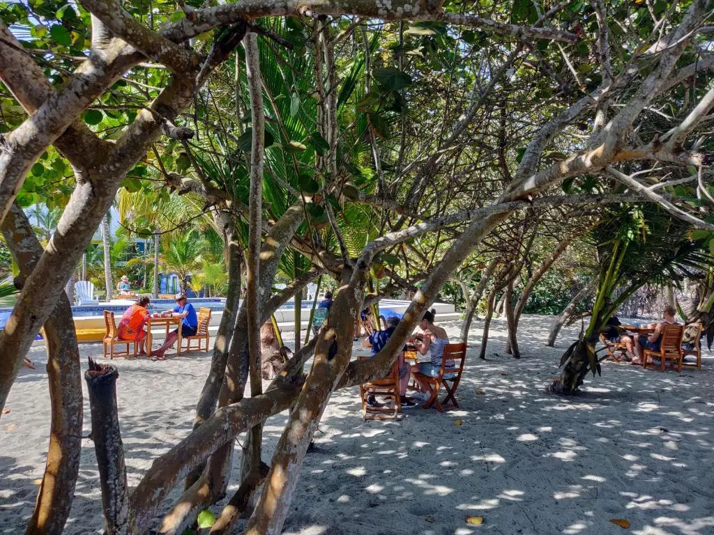 Blue Mango Beach Hotel