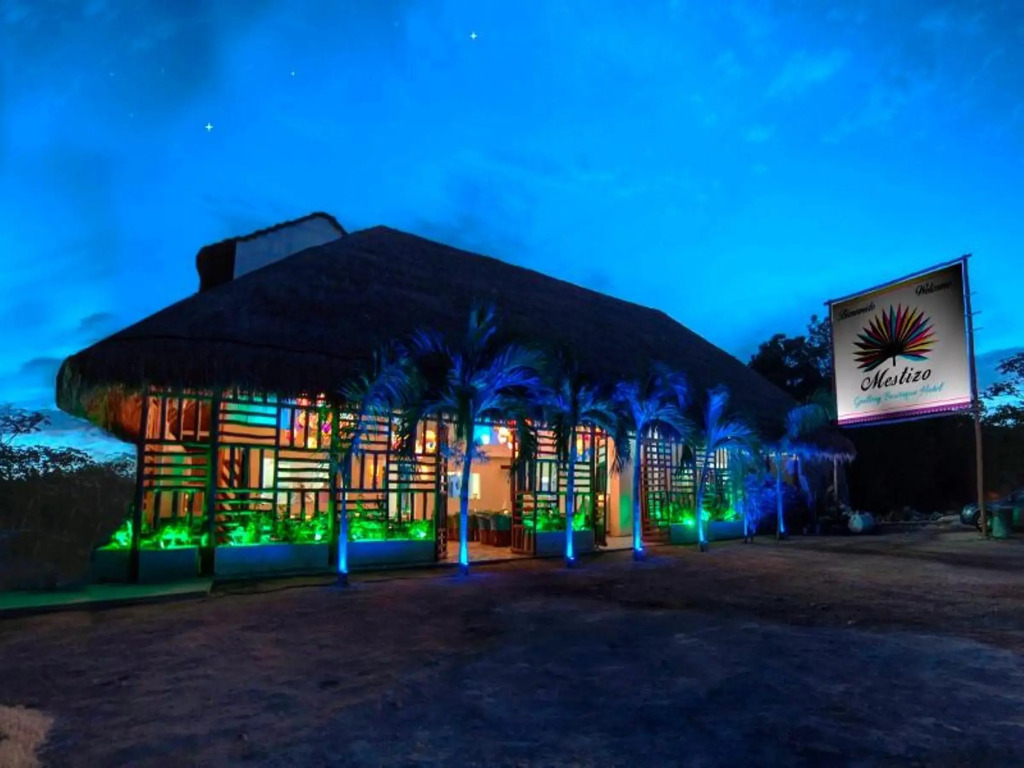 Mestizo Gallery