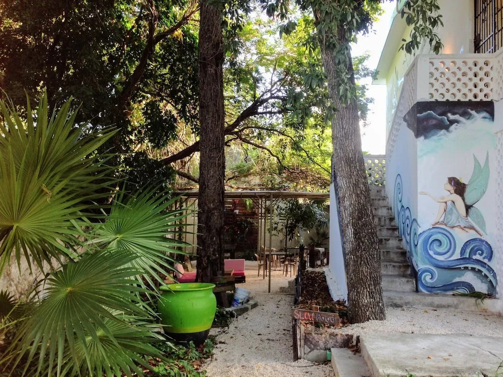 Casa MayaPlant