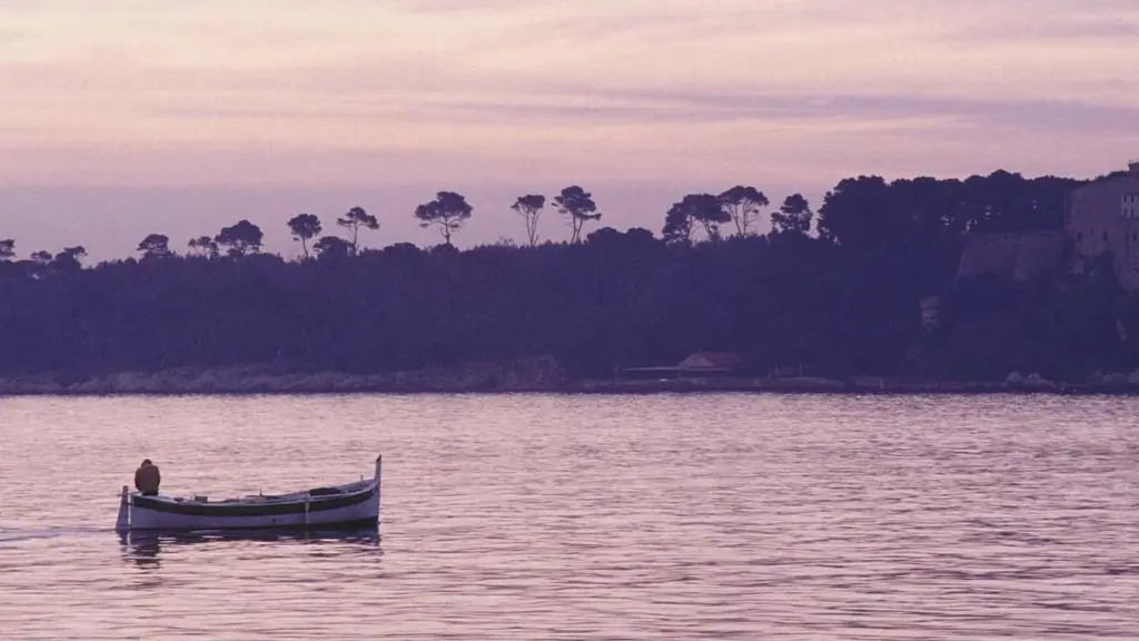 Jonquille