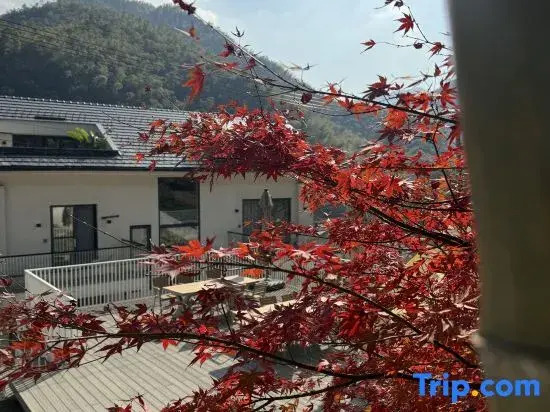 Yuanwu·TOWU Hot Spring Designer Meisu (Anji Yunshang Grassland Store)