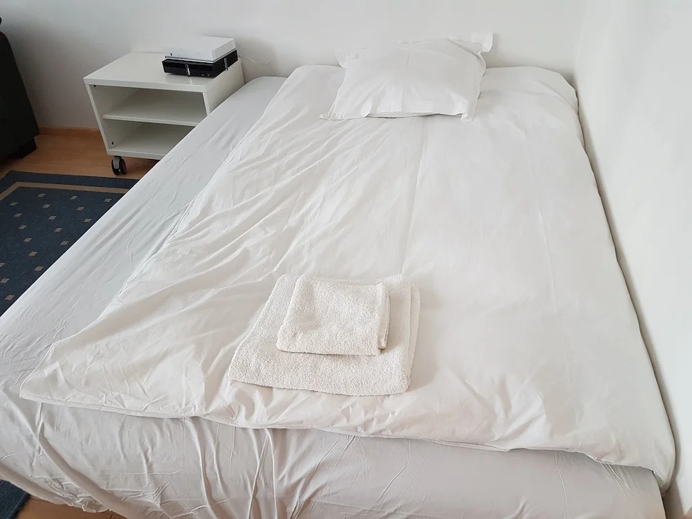 Appartement Eurometropole