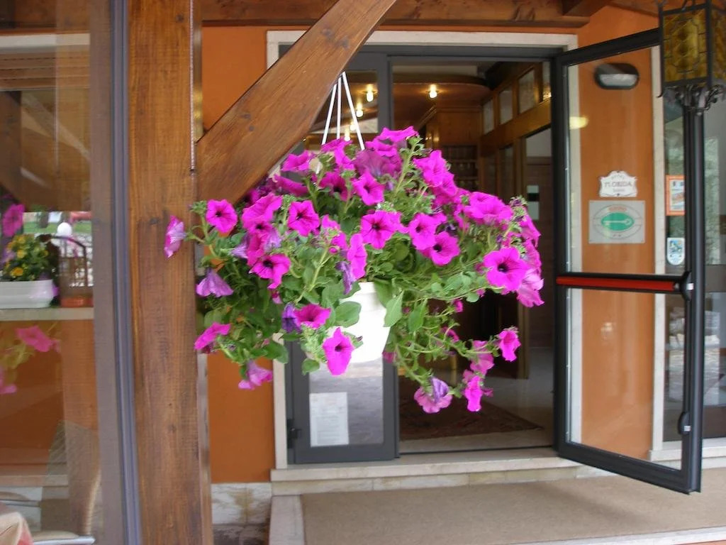 Hotel Villa Florida