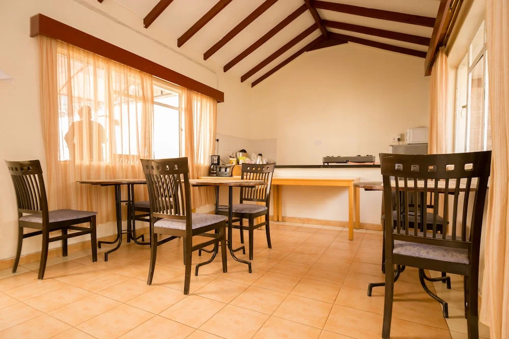 Palm Tree Bed  Breakfast