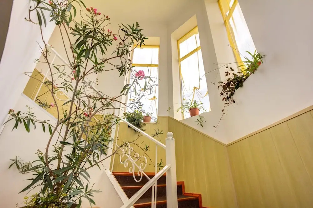 Baytor Guest House