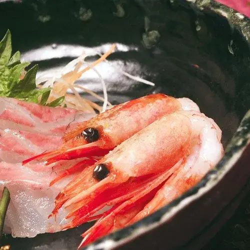 Hakuuntei
