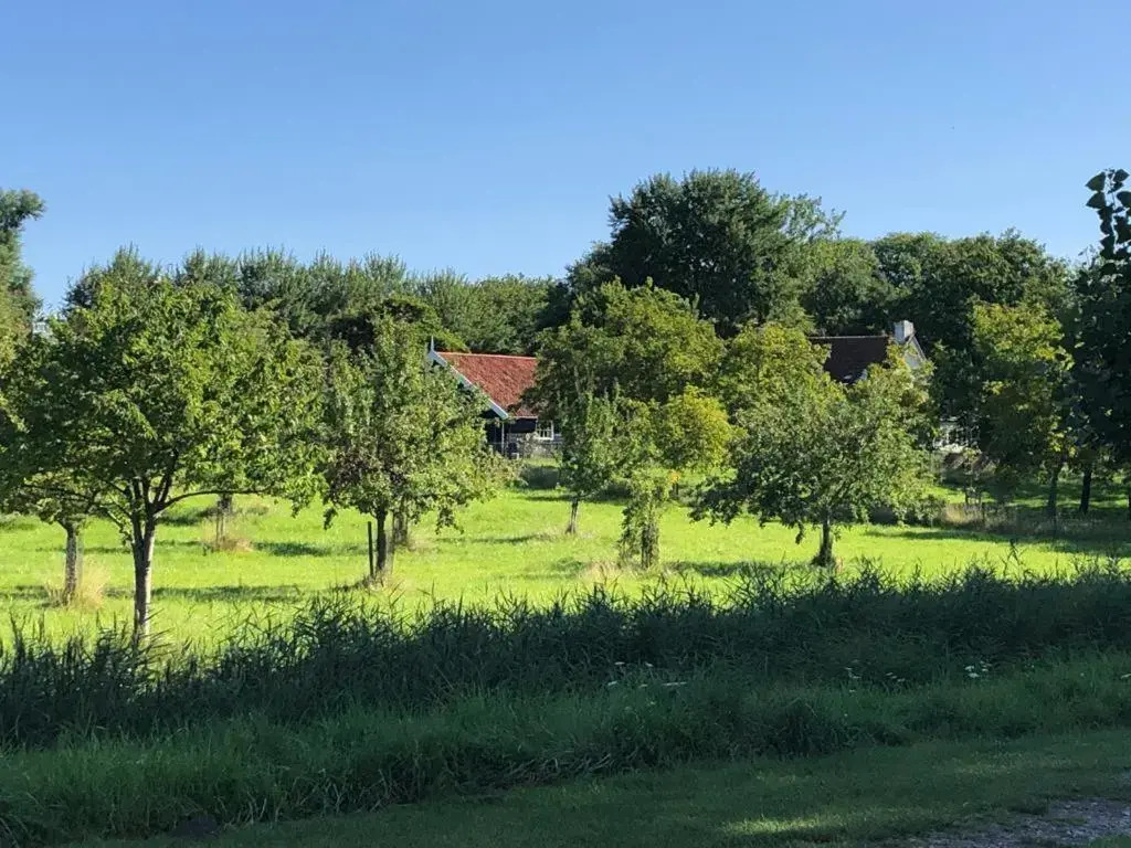 Vakantiehuis Sonnewende