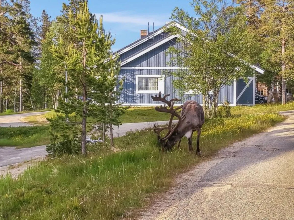 Holiday Home Tunturikuksa