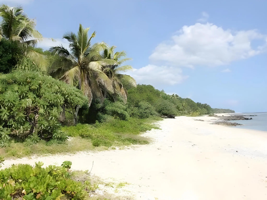 Alofa Beach Bungalows