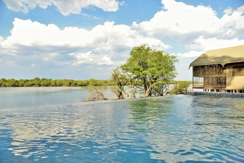 Jackalberry Chobe