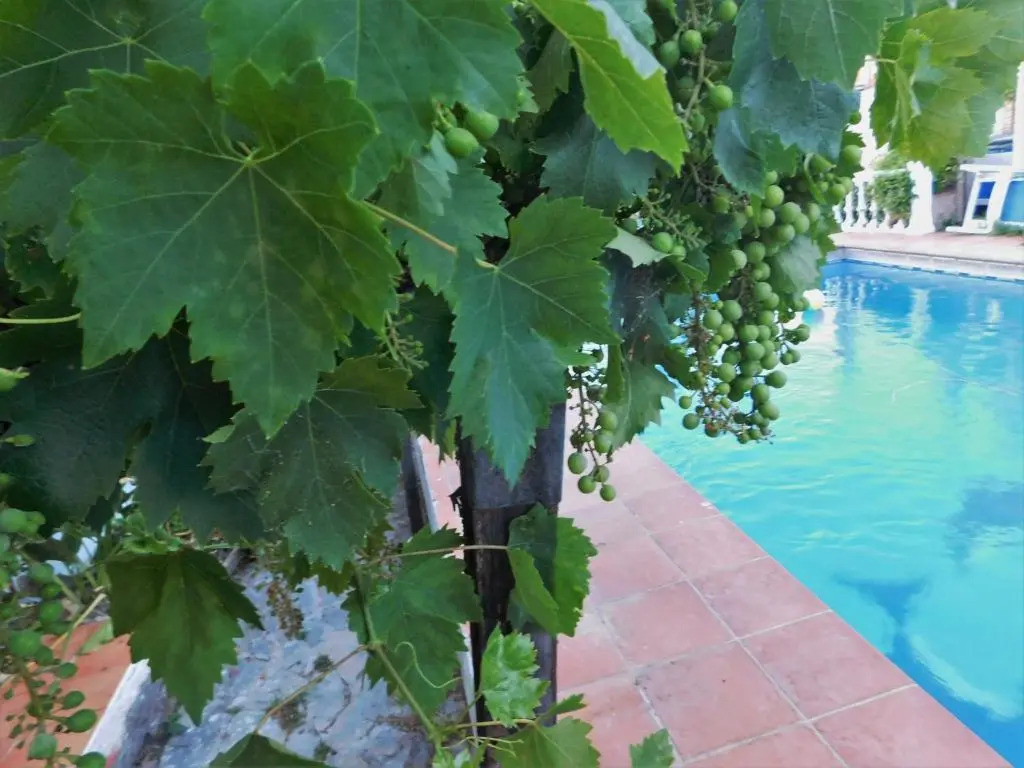 Bungalow Marbella (San Pedro Alcantara)