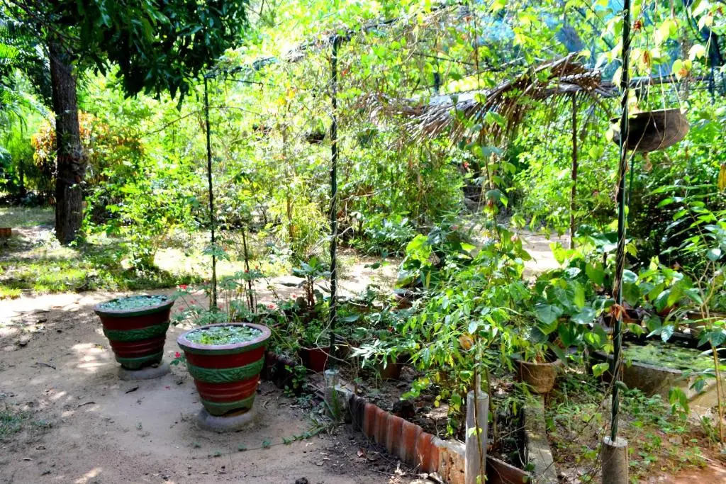 Sigiriya Freedom Lodge