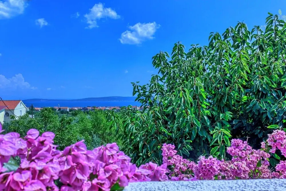 Apartments Ivanica