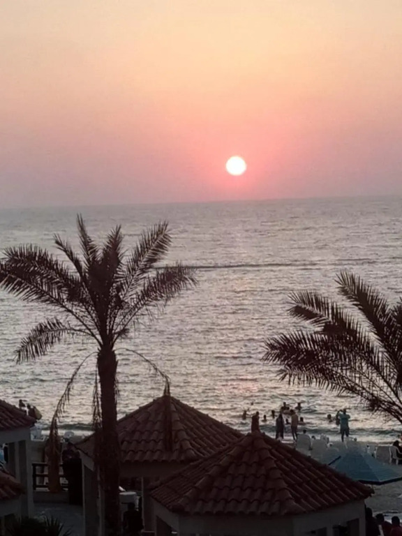 الاسكندرية