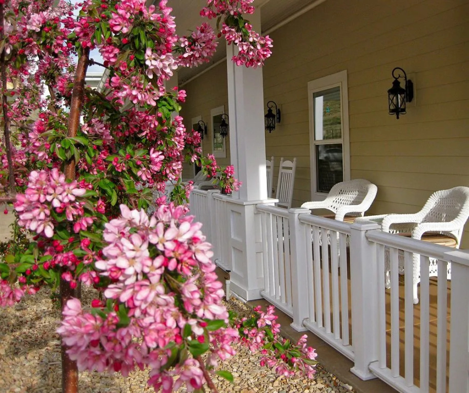 Wine Country Inn