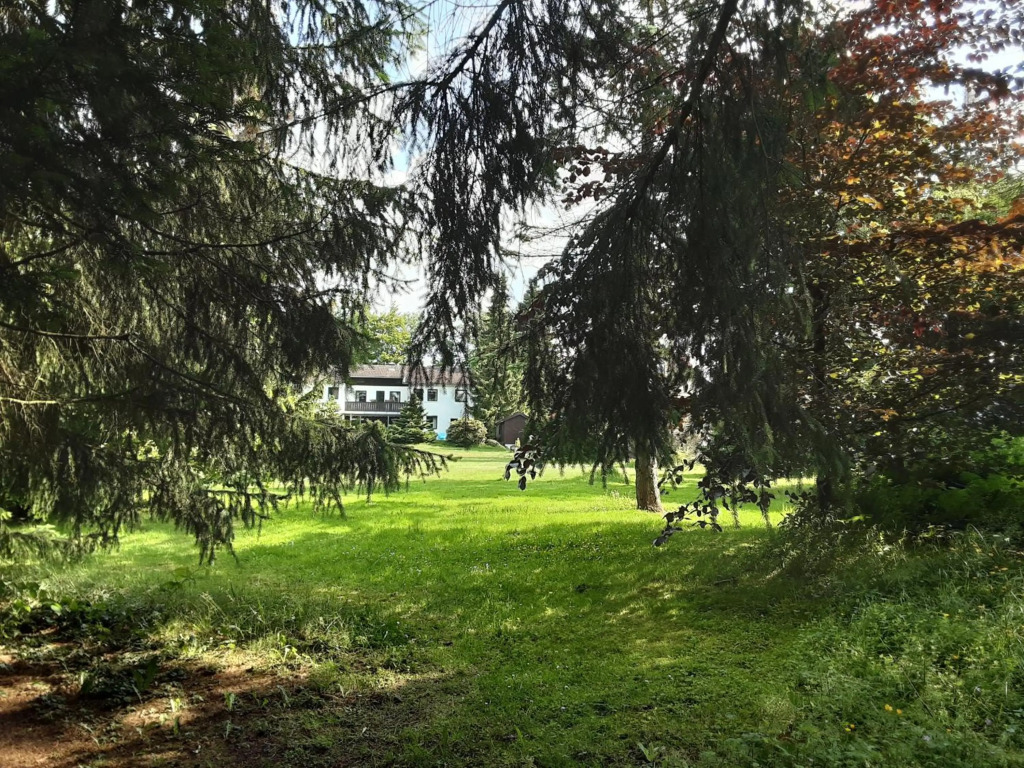 Hochwald Maxi