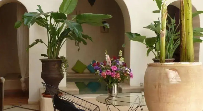 Riad Nid De La Colombe