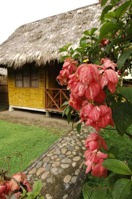 Yarina Eco Lodge