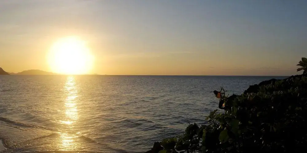 Cocoro Malolo