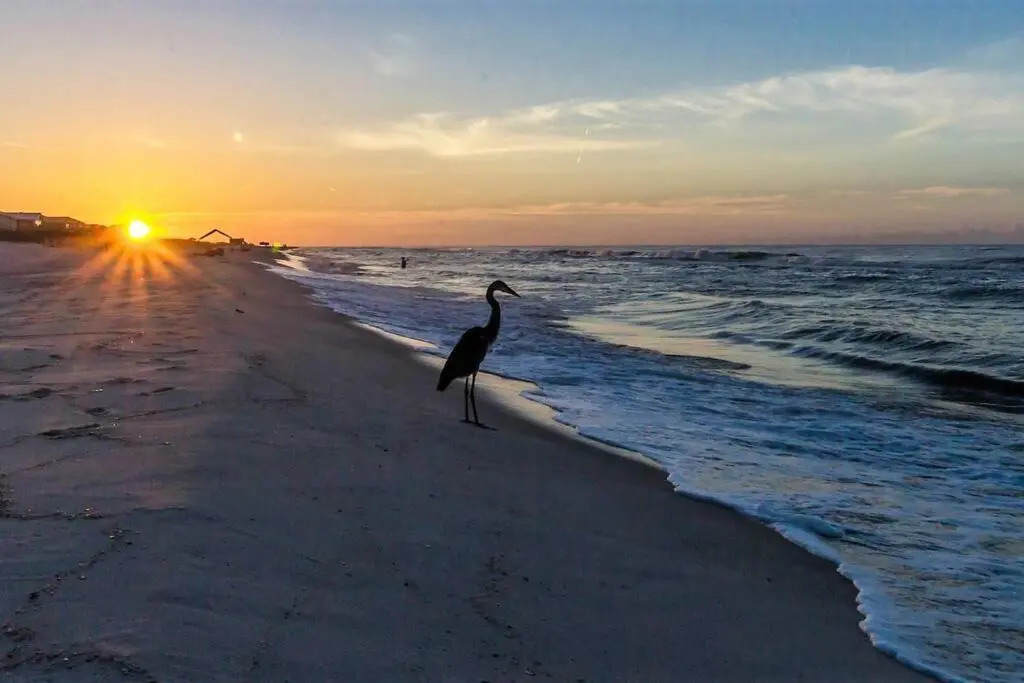 Sandpiper 12A-Beach Blessings Completely updated Beachfront Condo-Heated Pool