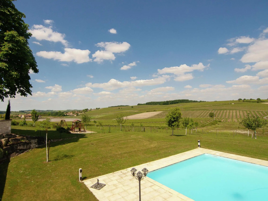 Luxorious Mansion in Saint-Preuil with Sauna