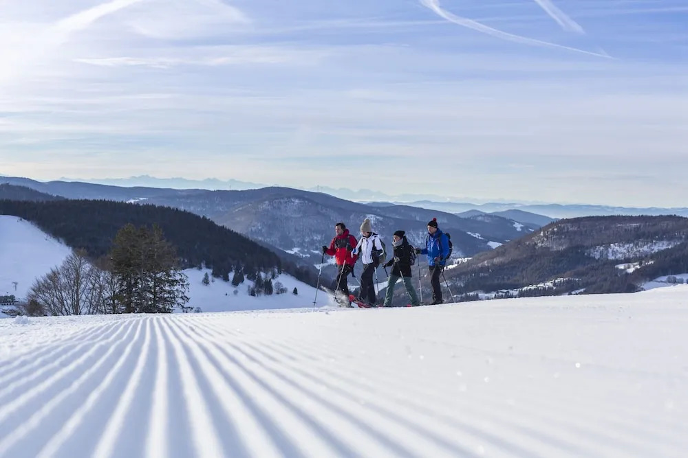 Alemannenhof - Boutique Hotel am Titisee