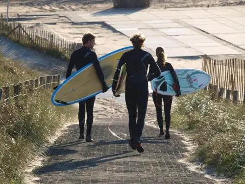 Divi Divi Zandvoort