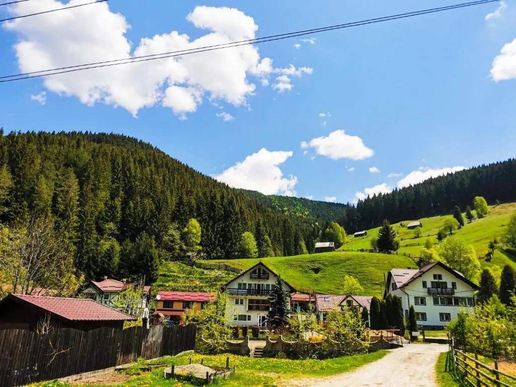 Valea Dorului Guest House