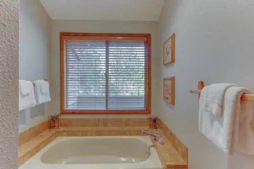 Yellow Rail 10 - Meredith Lodging