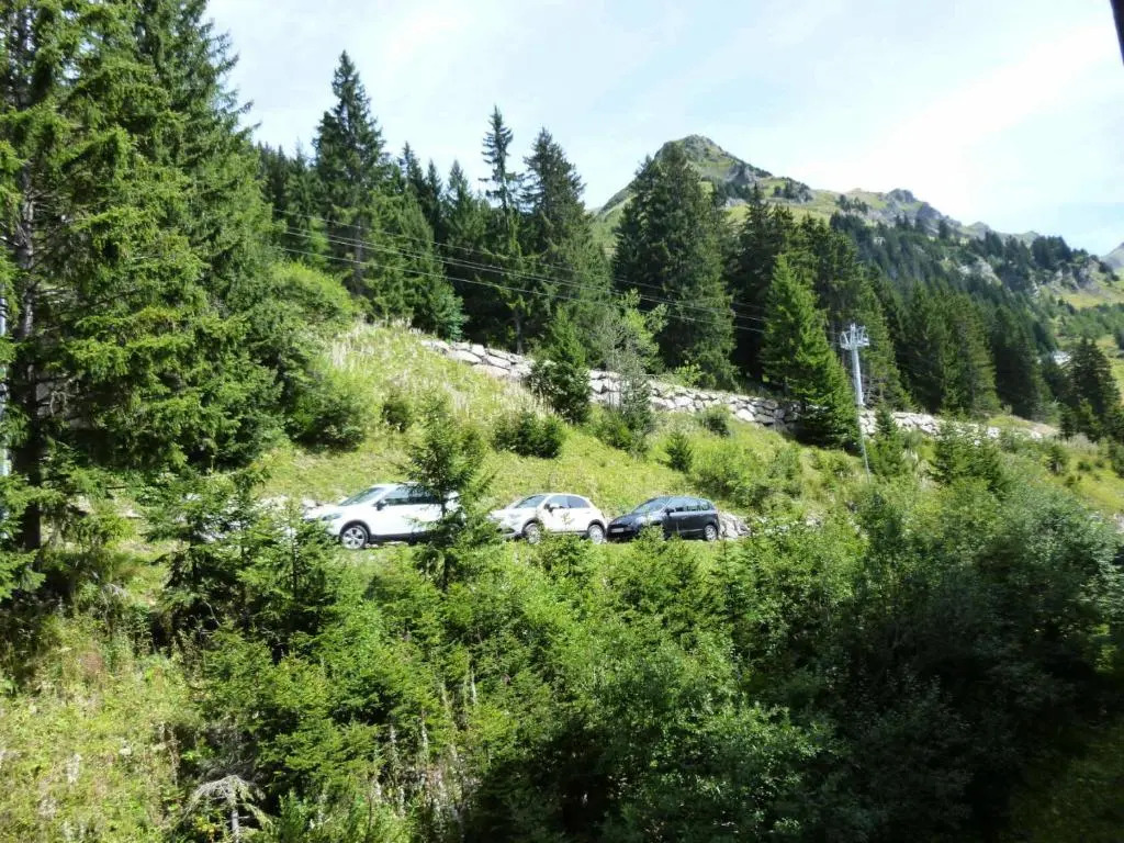 Residence De La Foret - 2 Pièces pour 5 Personnes 86