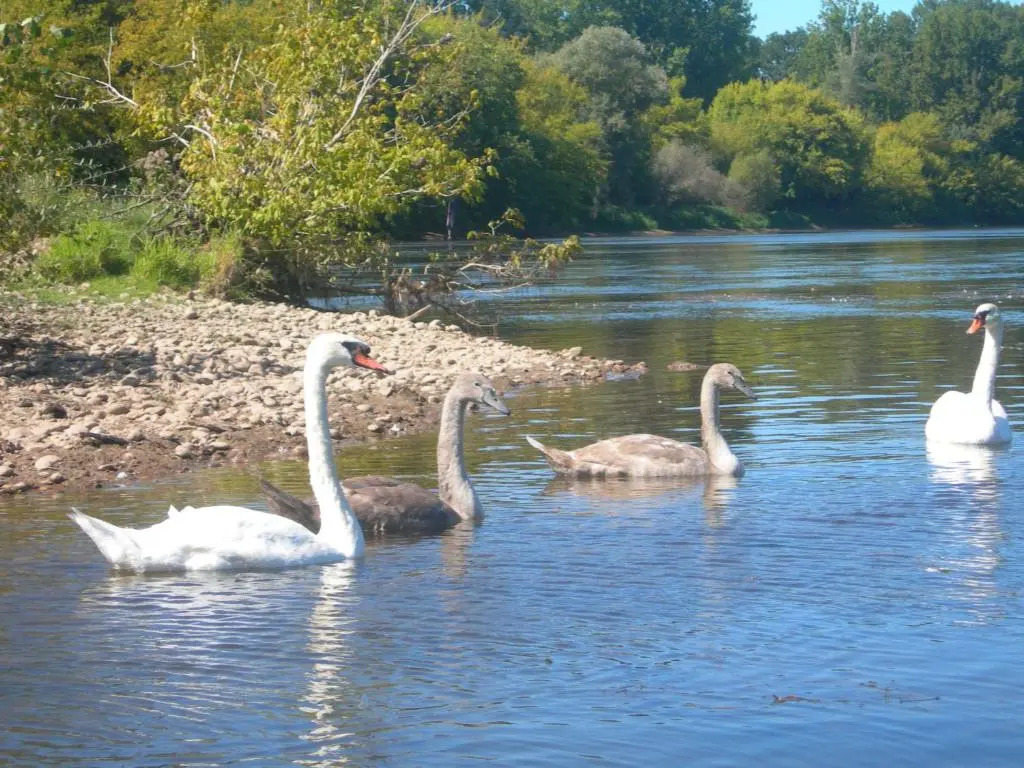 Moulin des Sandaux