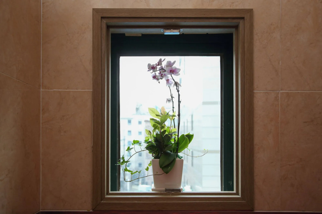 Daeyoung Hotel Myeongdong