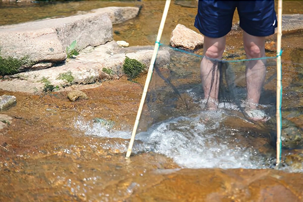 Tongyeong Songni Mt. Nature Pension