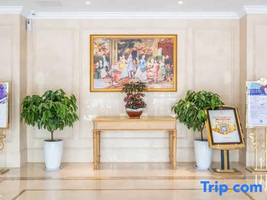 Vienna Hotel (Zhengzhou navigation square subway station store)