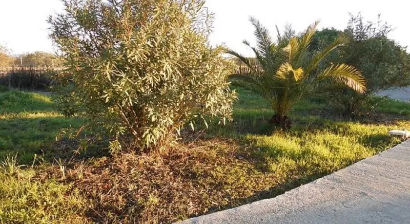 WuMi Finca Porreres