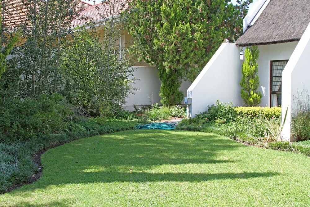 Die Grasdak