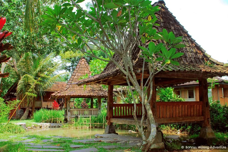 The Pikas Resort