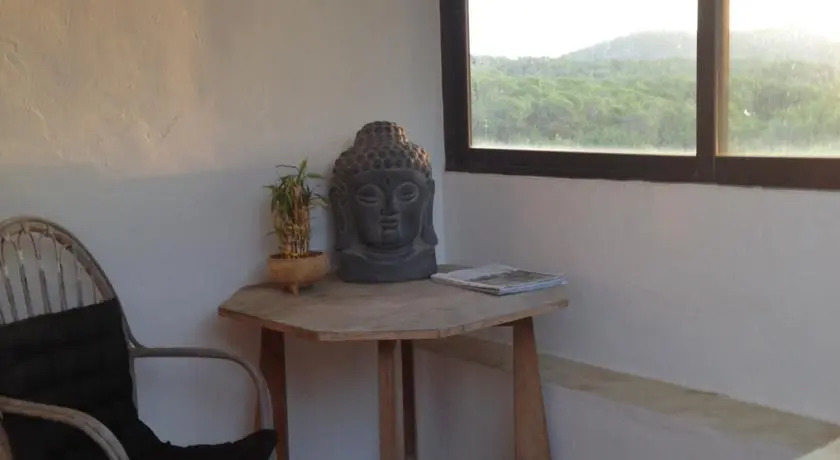 Wellness Yoga home Yoga I am