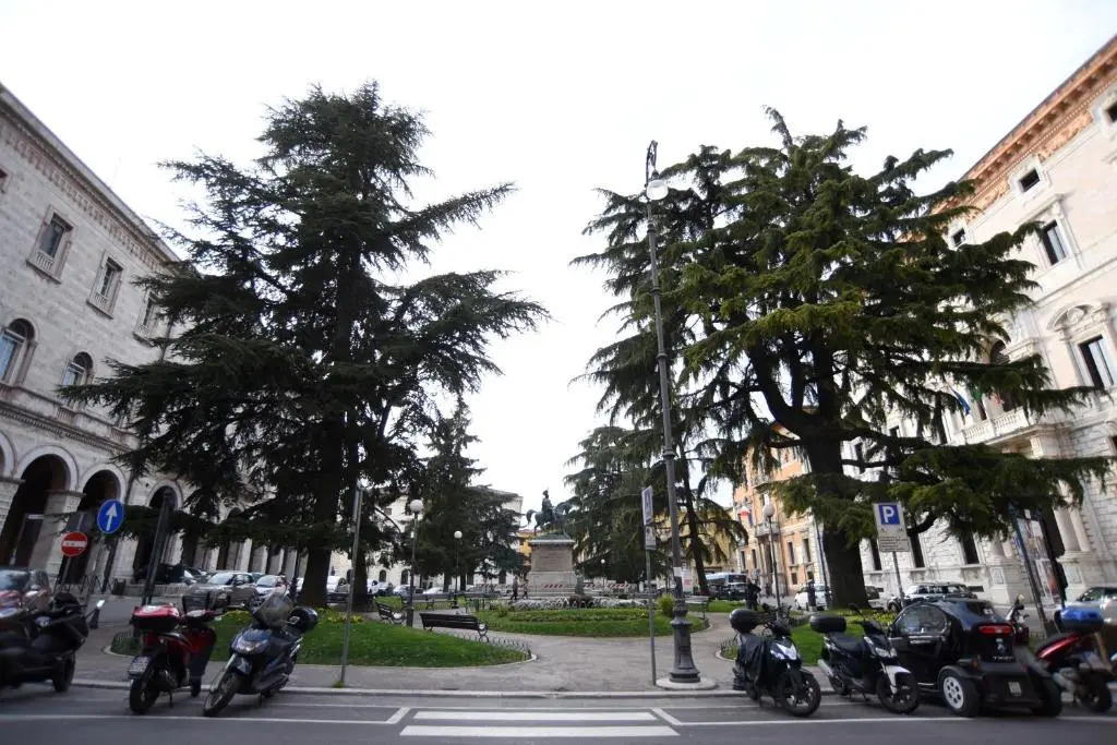 Suite Calderini